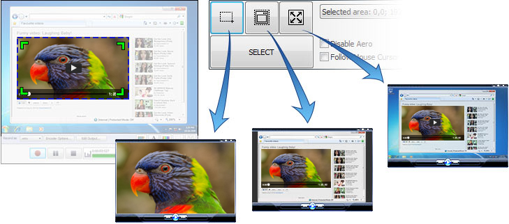 Debut Video Capture