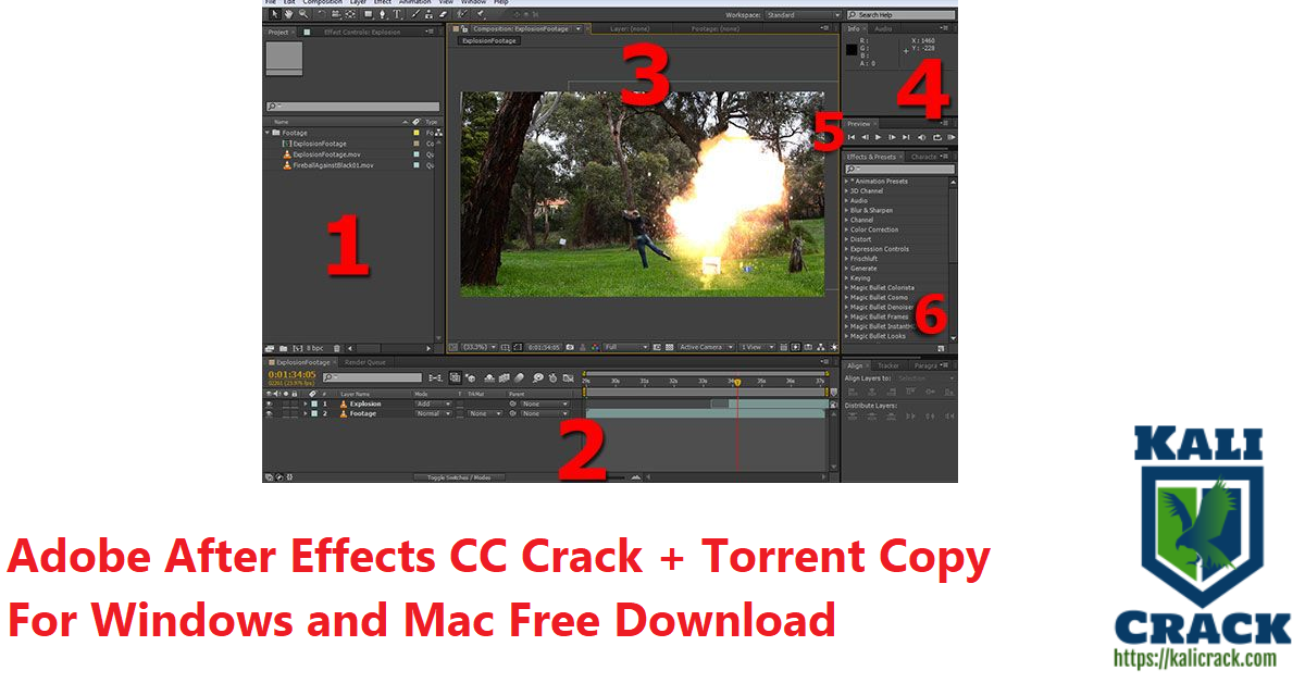 Adobe After Effects CC Crack + Torrent Copy For Windows and Mac Free Download
