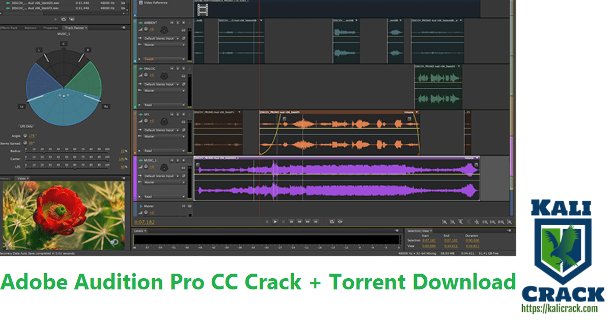 Adobe Audition Pro CC Crack + Torrent Download