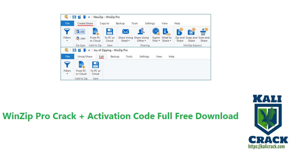 WinZip Pro Crack + Activation Code Full Free Download