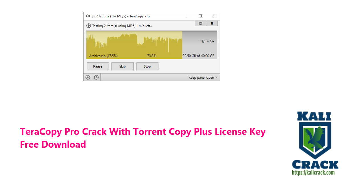 TeraCopy Pro Crack With Torrent Copy Plus License Key  Free Download
