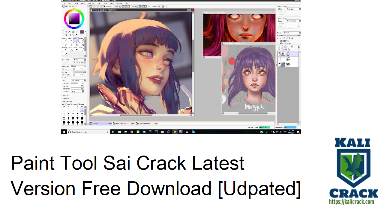Paint Tool Sai Crack