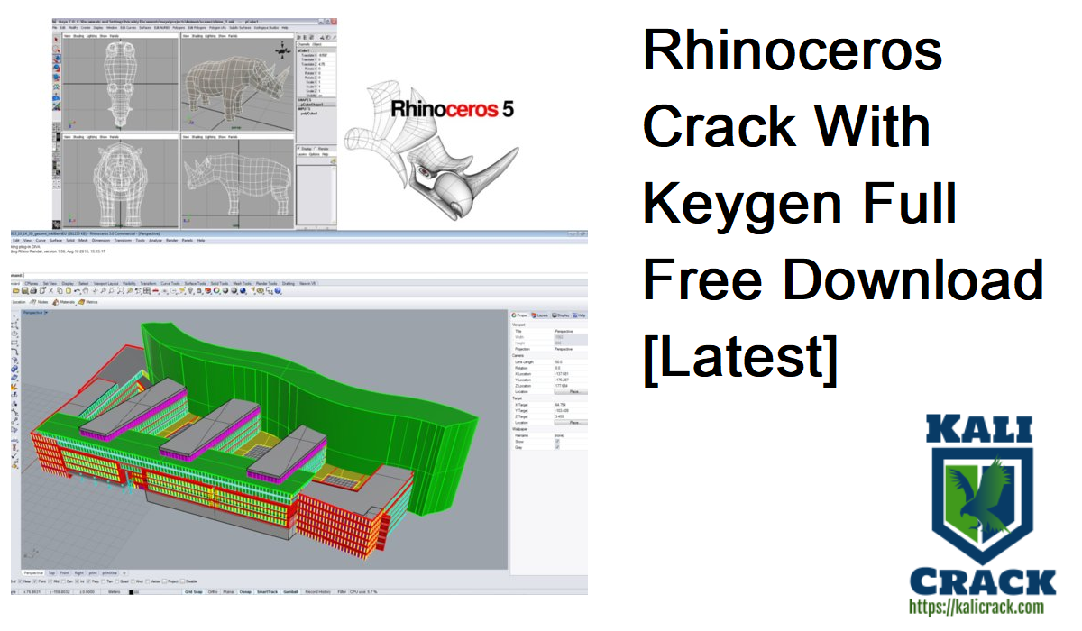 Rhinoceros Crack