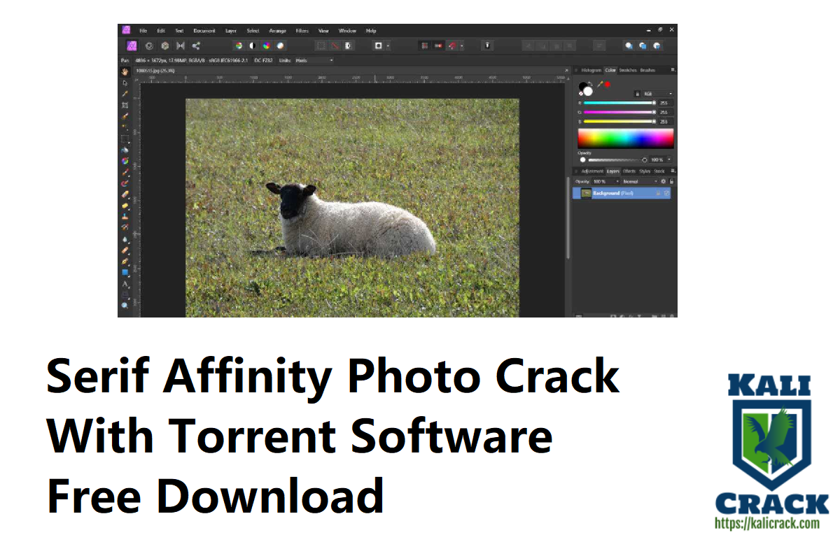 Serif Affinity Photo Crack