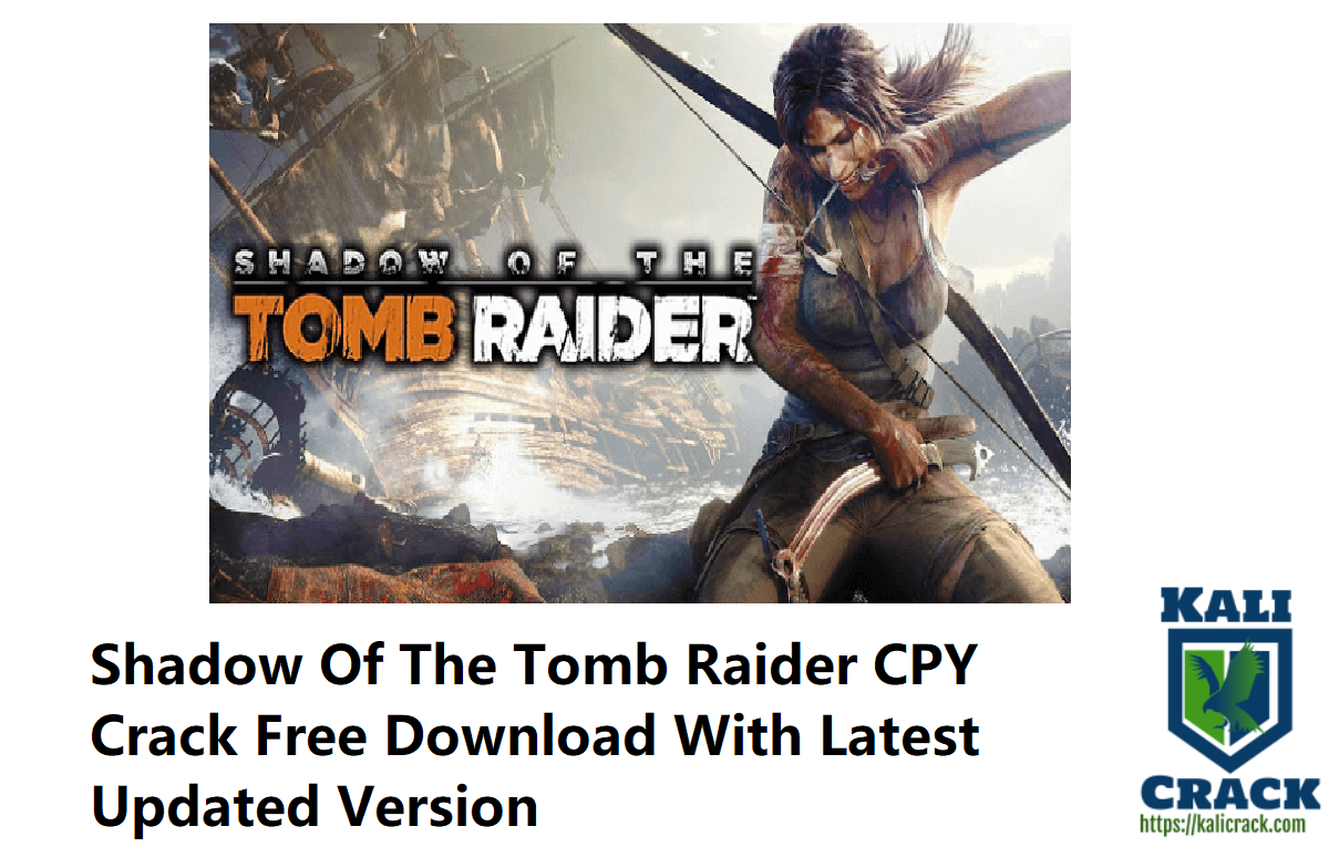 Shadow Of The Tomb Crack