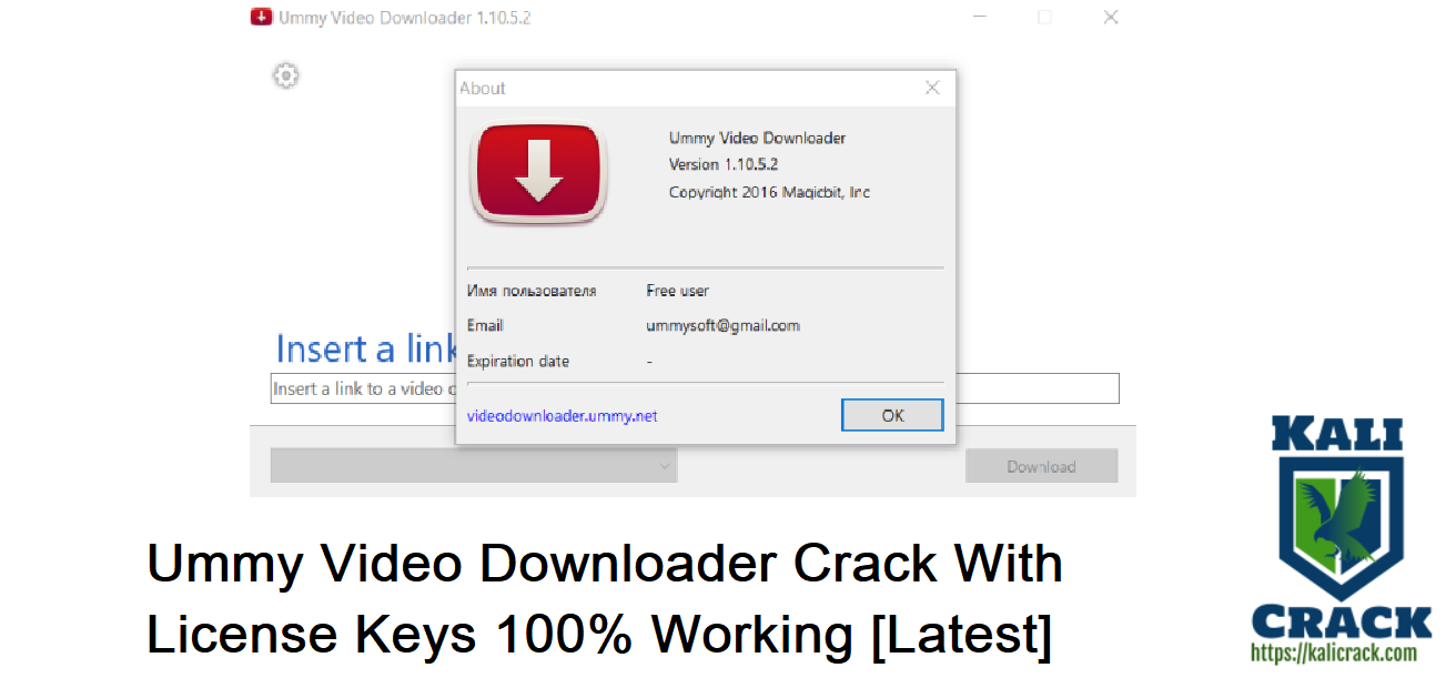 Ummy Video Downloader Crack
